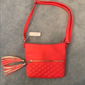 Charming Charlie Crossbody Purse